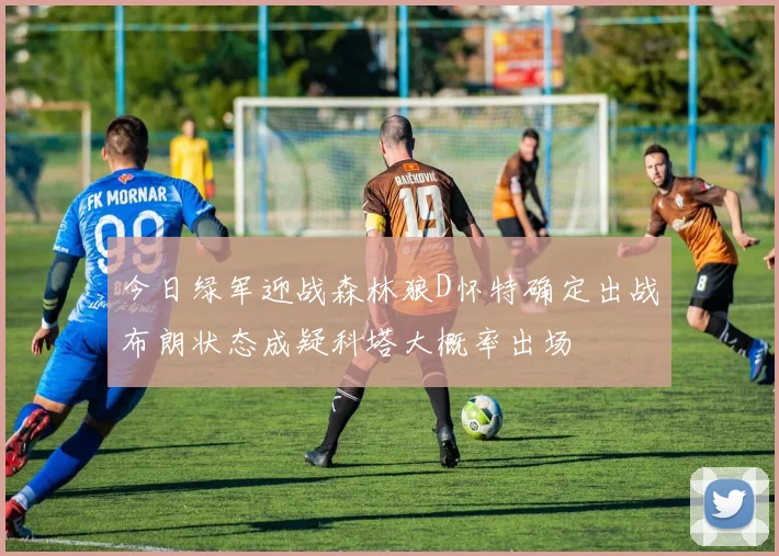今日绿军迎战森林狼D怀特确定出战布朗状态成疑科塔大概率出场