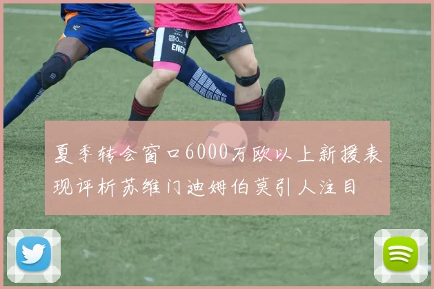 夏季转会窗口6000万欧以上新援表现评析苏维门迪姆伯莫引人注目