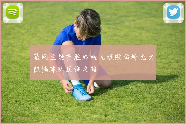 篮网主场首胜终结九连败黄蜂无力阻挡球队反弹之路