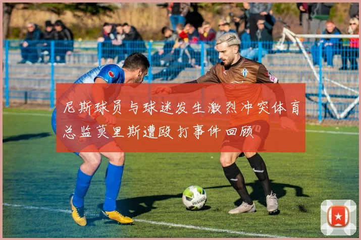 尼斯球员与球迷发生激烈冲突体育总监莫里斯遭殴打事件回顾