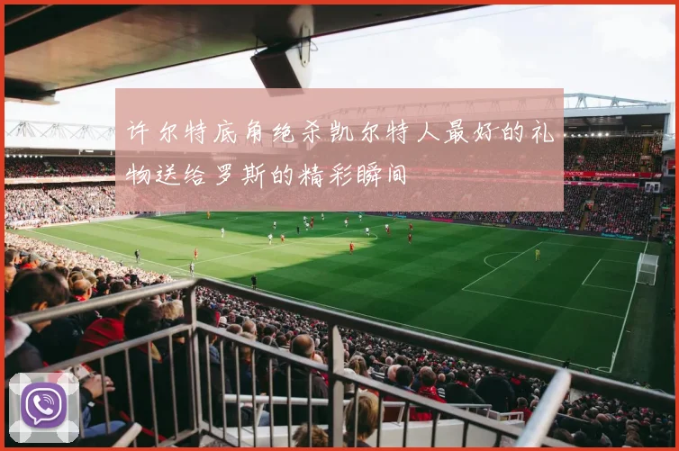 许尔特底角绝杀凯尔特人最好的礼物送给罗斯的精彩瞬间
